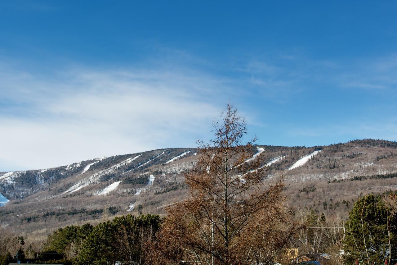 Le Vallon Saint-Ferreol-les-Neiges Eksteriør billede